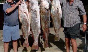 Andries se 28.8kg Kabeljou